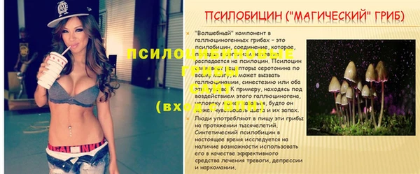 экстази Бердск