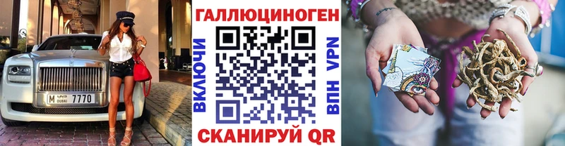 Псилоцибиновые грибы Cubensis  Балашов 