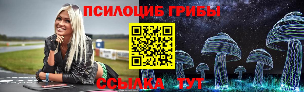 Галлюциногенные грибы прущие грибы  Галлюциногенные грибы Cubensis  Балашов 