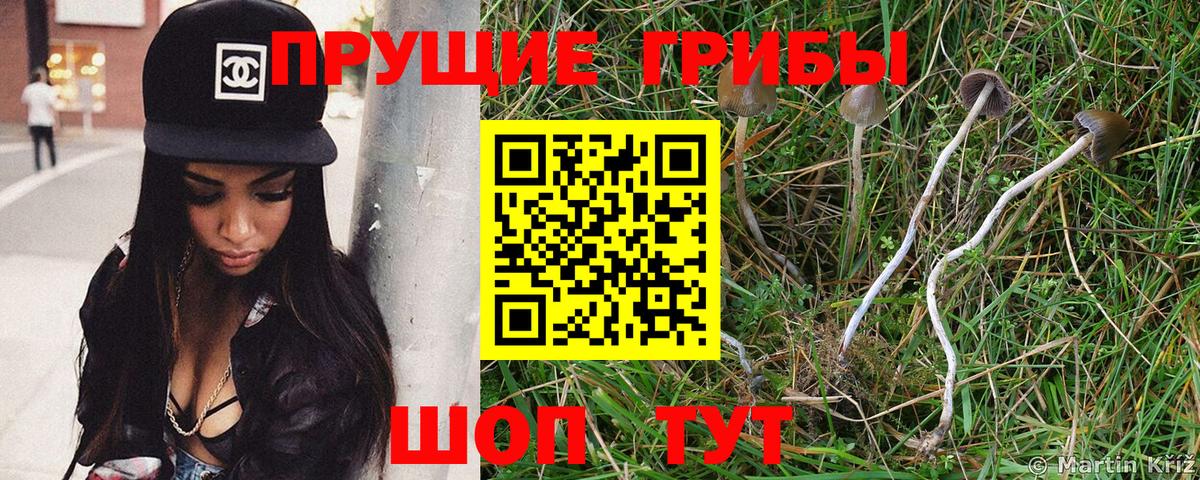 Псилоцибиновые грибы ЛСД Балашов