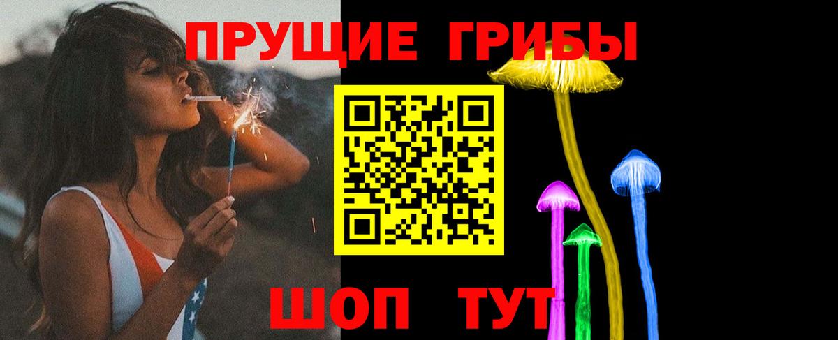 Галлюциногенные грибы GOLDEN TEACHER Балашов
